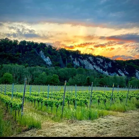 Gîte au 14 - au calme avec jardin , proche de Dinant Anhée Extérieur photo
