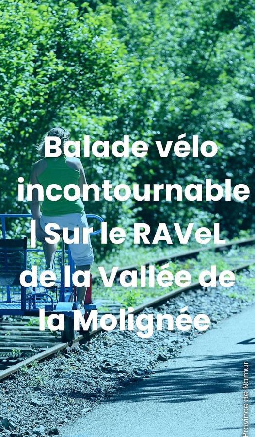 Au 14 - Au Calme Avec Jardin , Proche De Dinant Hébergement de vacances *